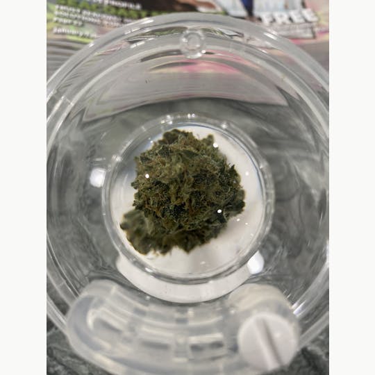 Delightful Hights - Wizard Punch - 1