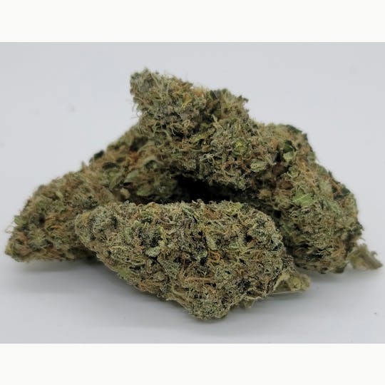 South Port Cannabis Company - BLUE GELATO 41 - SOUTH PORT CANNABIS - 1