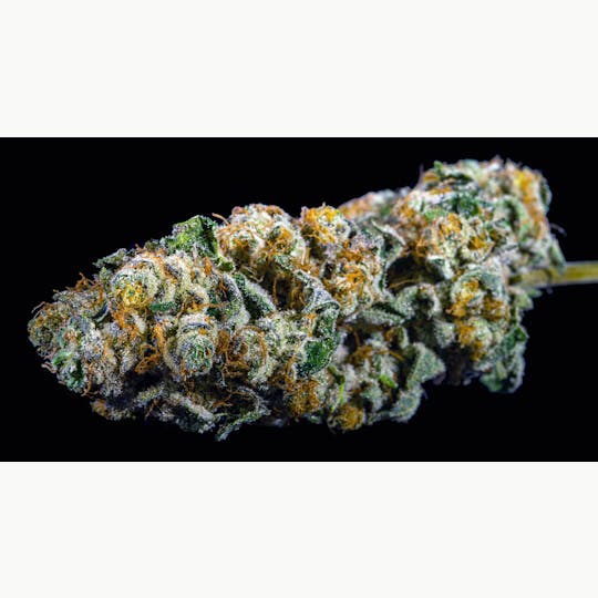 OG Medicinals - Garlic Wizard - 1