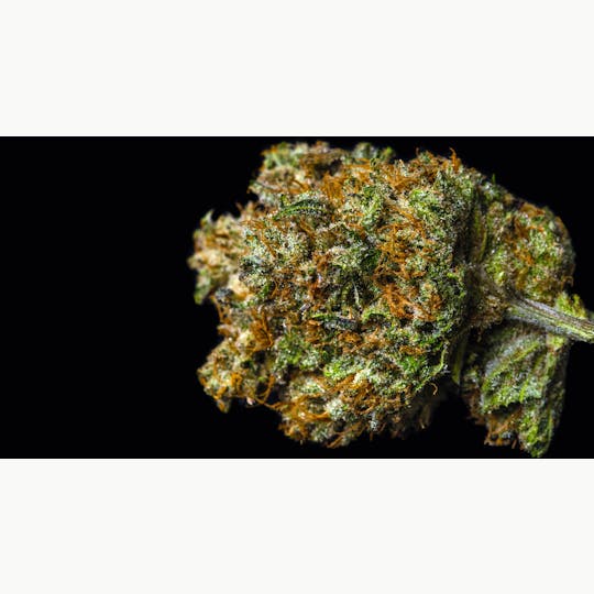 OG Medicinals - Grape Stomper - 1