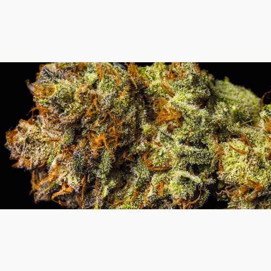 OG Medicinals - Greasy Grapes - 1