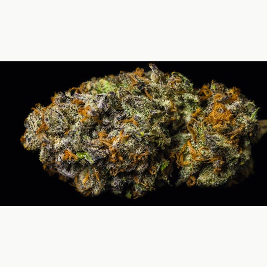 OG Medicinals - Safety Meeting - 1