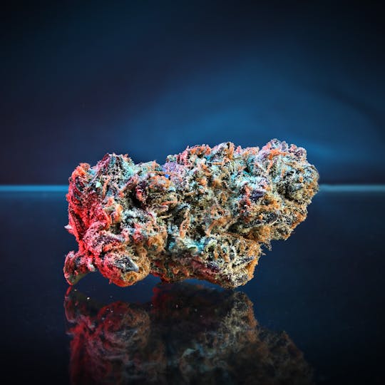 High Grade Farms - Gas Bugnes 3.5G - 1