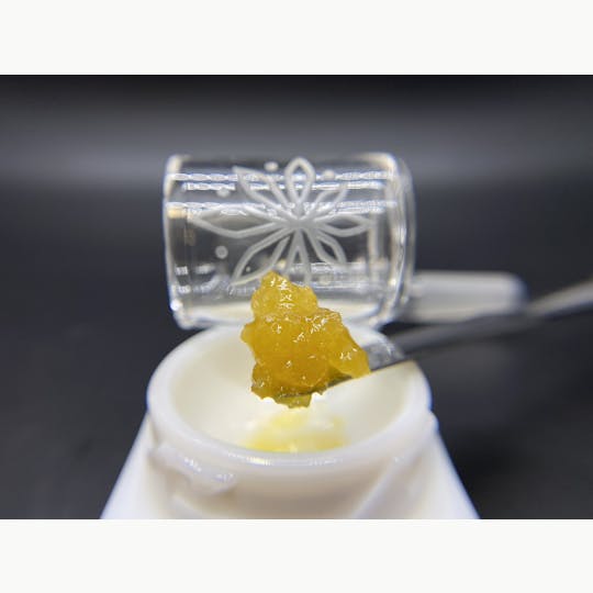 Sooner Glue - Jack Herer - 1