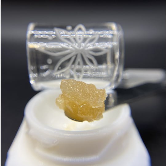 Sooner Glue - Lemon Gucci - 1