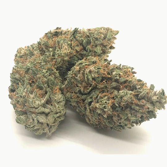 South Port Cannabis Company - SWEET TOOTH - SOUTH PORT CANNABIS - 1