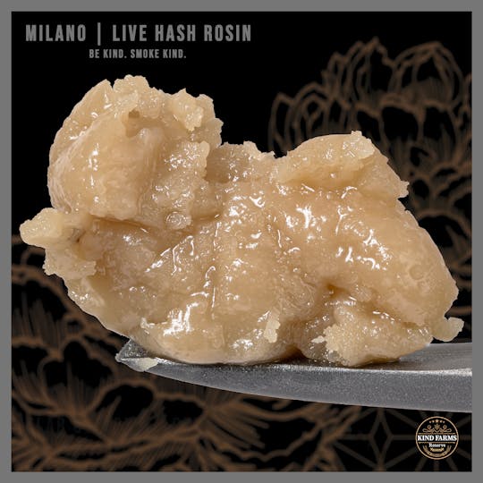 Kind Farms Reserve - Milano Live Hash Rosin - Kind Farms Reserve - 1