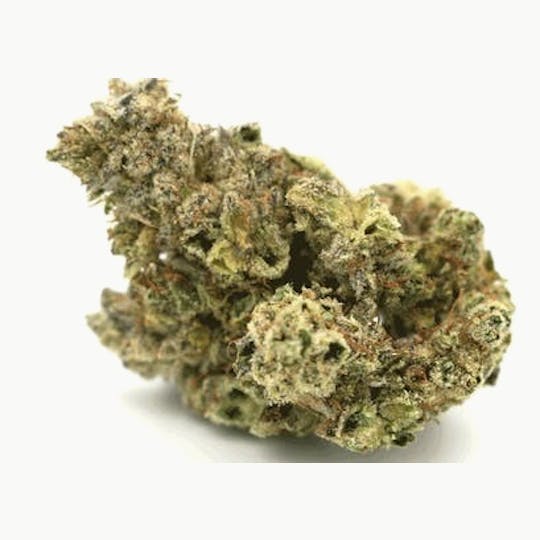 Dr. Jolly's - Glue - 1