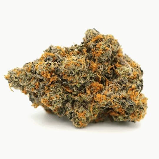 Dr. Jolly's - Head Dog X Mad Max #6 - 1