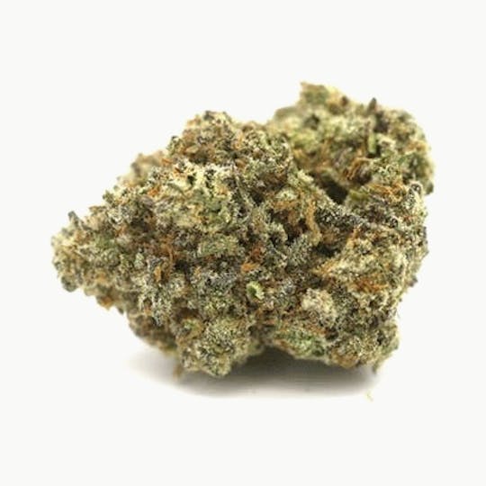 Dr. Jolly's - Melon Cake - 1