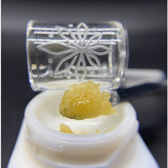 Sooner Glue - Cali Dreaming' Sugar - 1