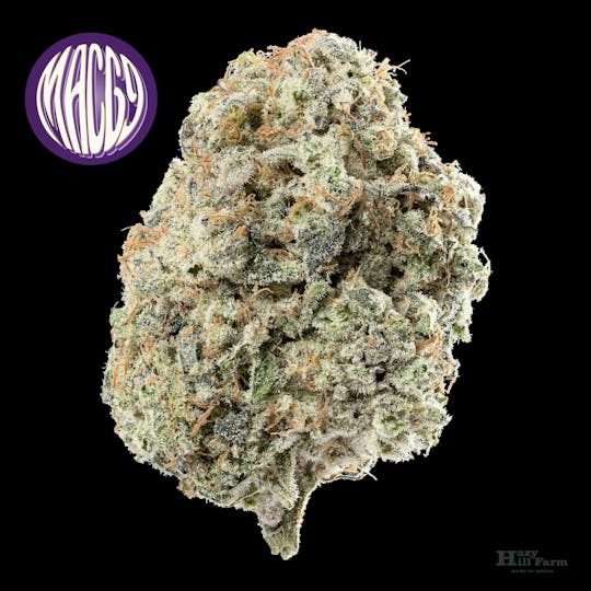 Hazy Hill Farm - MAC 69 - 1