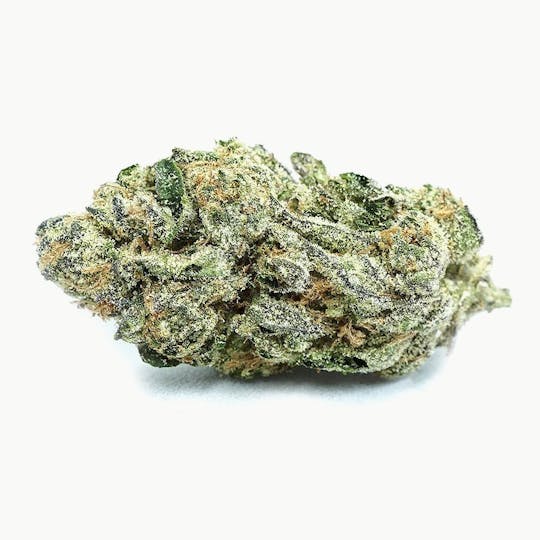 High Tide Organics - Triangle Kush | Greenhouse - 1