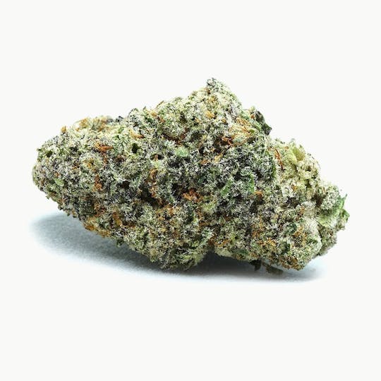 High Tide Organics - Mac Stomper | Indoor - 1