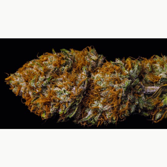 OG Medicinals - Silver Valley OG Popcorn - 1