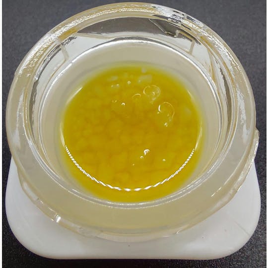 Ripple Wellness - Concentrate - Live Sugar - Shire 2.0 - 1