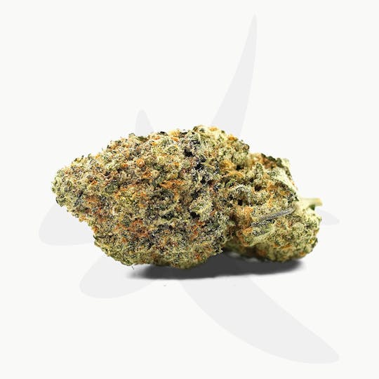 Sozo - Animal Cookies - 1