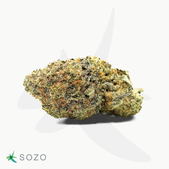 Sozo - Animal Mints - 1