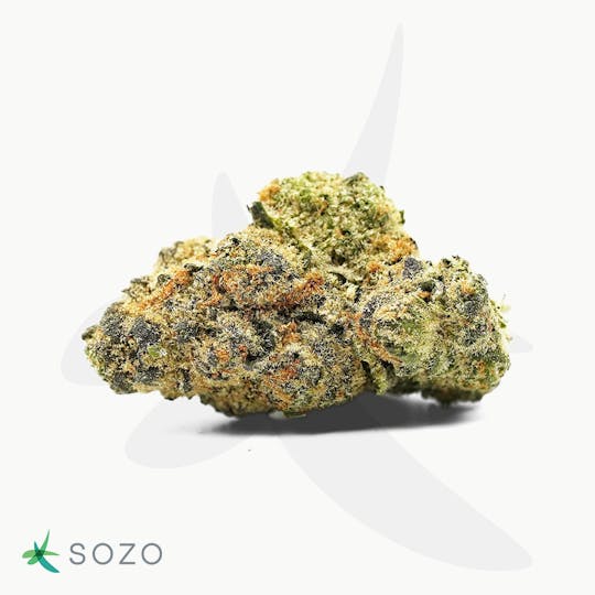 Sozo - Bee Cookies - 1