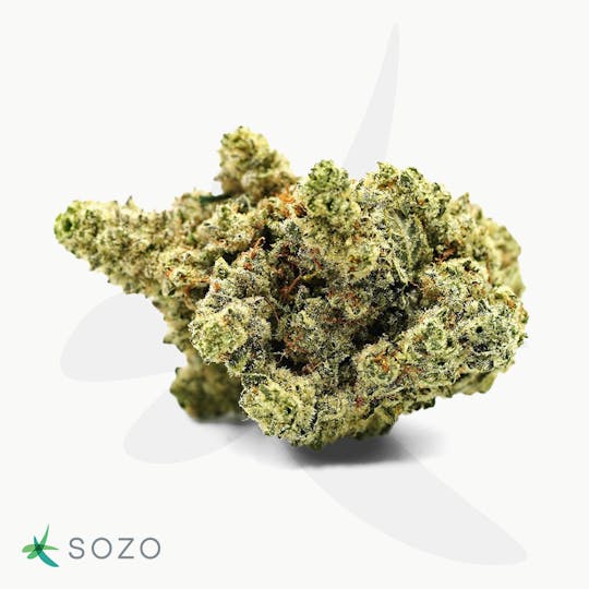 Sozo - GG4 - 1