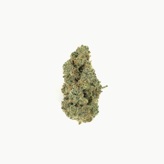 Ascension Farm - Apple Fritter - 1