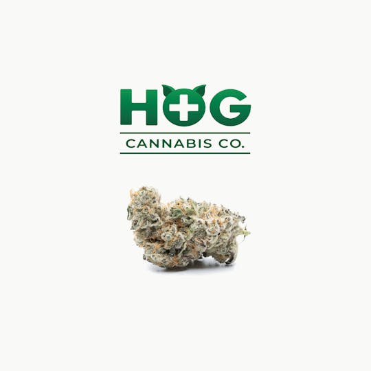 HOG Cannabis Co. - Molotov 21 - 1