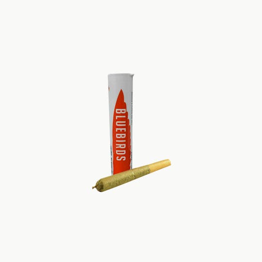 BlueBirds - Do Si Durban Preroll - 1