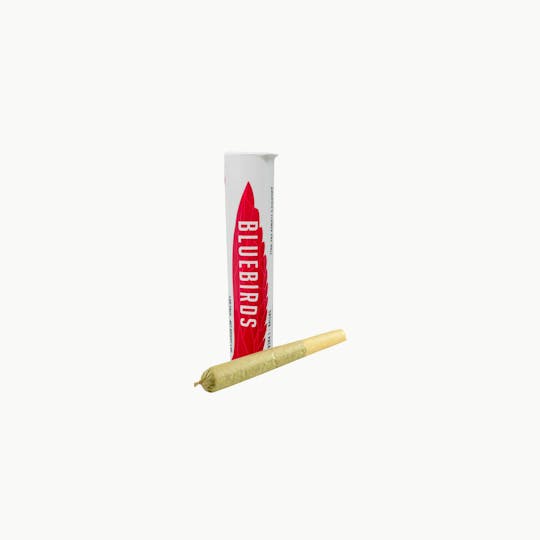 BlueBirds - Live Fire Preroll - 1