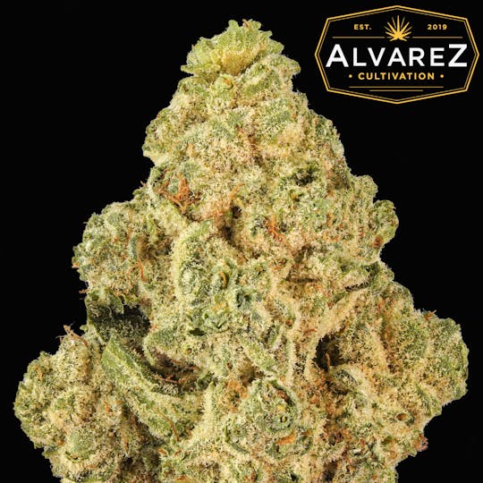 Alvarez Cultivation - Orange Cake Pops - 1