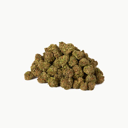 Twd.28 - Twd.28 Sativa - 1