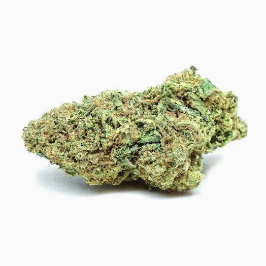 High Tide Organics - Tangimals | Greenhouse - 1