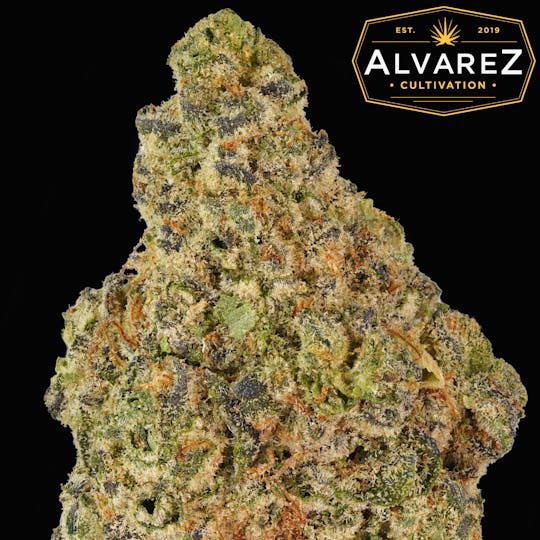 Alvarez Cultivation - Jungle Cake - 1