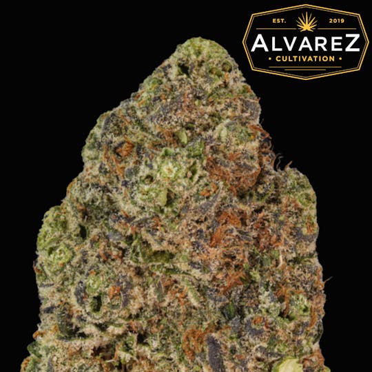 Alvarez Cultivation - Wedding Crasher - 1