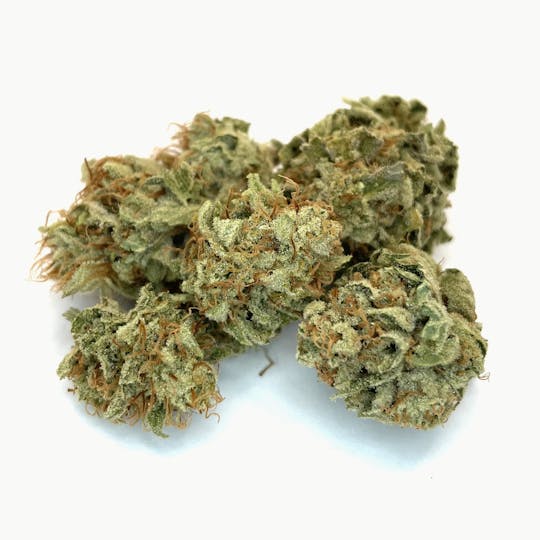 New Moon Cultivation - GG#4 - 1