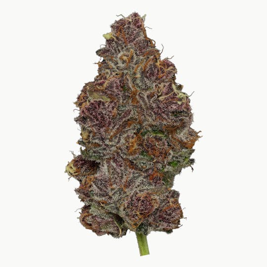 Enlighten - Tropicana Cherry Deli Flower - 1