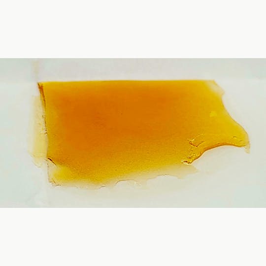 Concentrate Supply Co. CSC - CSC Shatter - Wedding Zookies (Sap) - 1