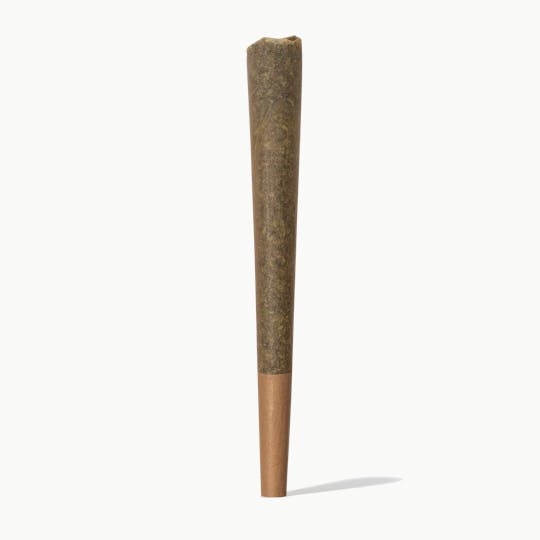 Fluent - Blue Note Pre Roll - 1