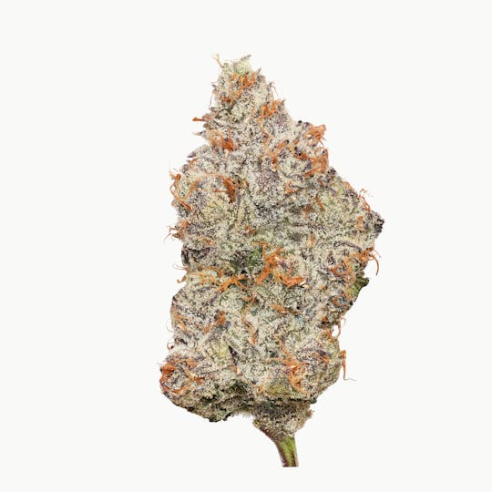 Enlighten - Runtz Deli Flower - 1