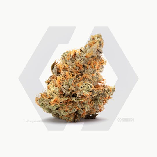 Shango - I95 Chem - 1