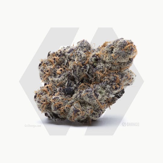 Shango - Lava Cake - 1