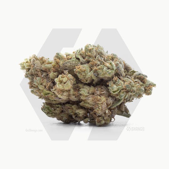 Shango - Papaya Cake - 1
