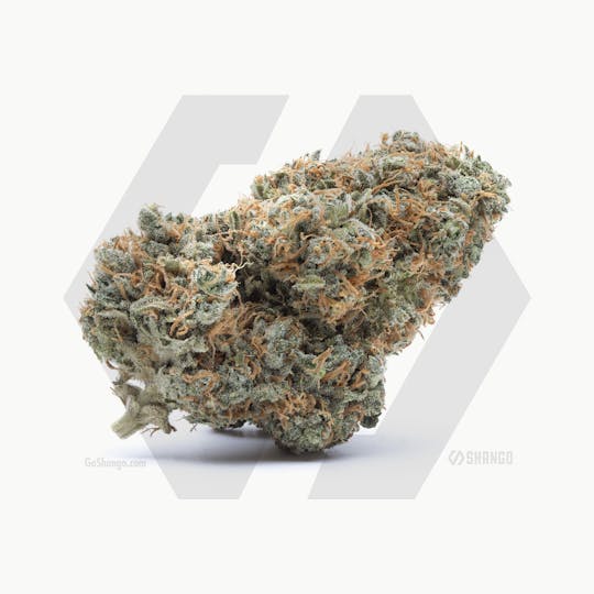 Shango - Root Brother - 1