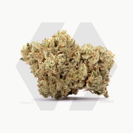 Shango - SLHOAMAC - 1