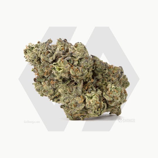 Shango - Sherbert X Wedding Cake - 1