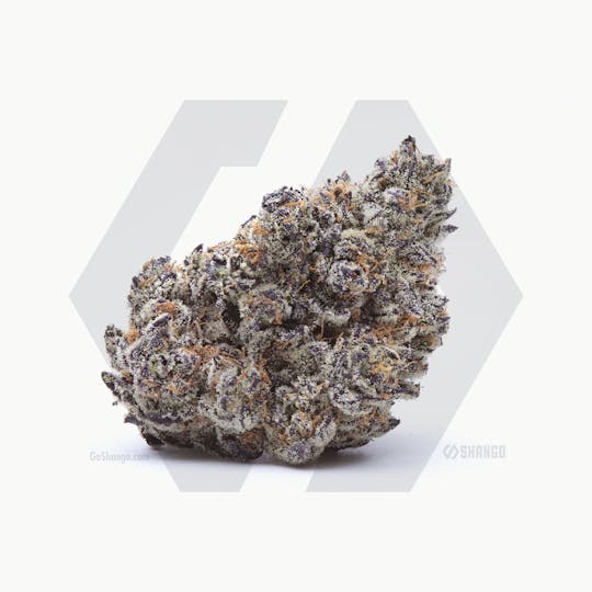 Shango - Ice Cream Cake - 1