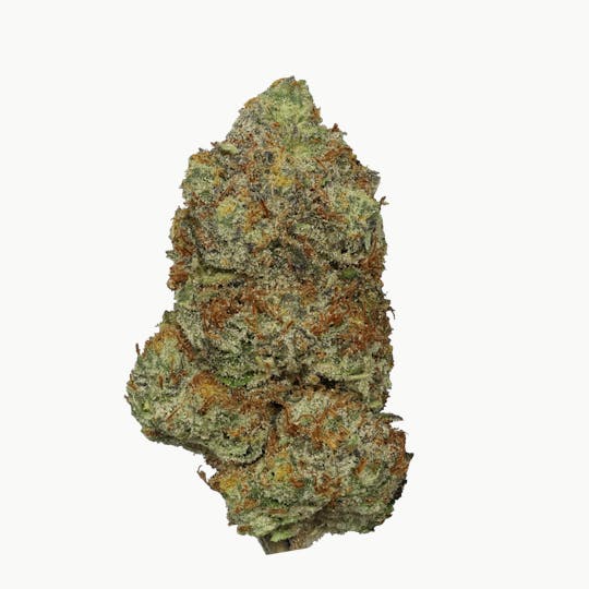 Enlighten - Tropicana Banana - 1