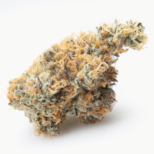 Snowblind Cannabis - Orange Kush Cake (OKC) - 1
