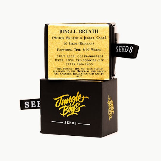 Jungle Boys - Jungle Boys | Jungle Breath - 10ct Seeds - 1