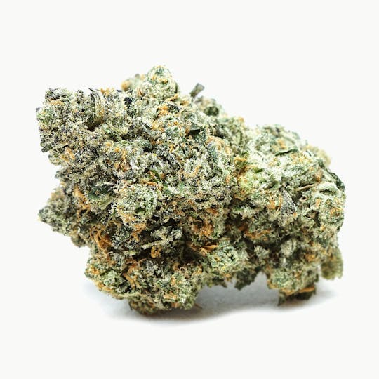 High Tide Organics - Sour Gelato | Indoor - 1