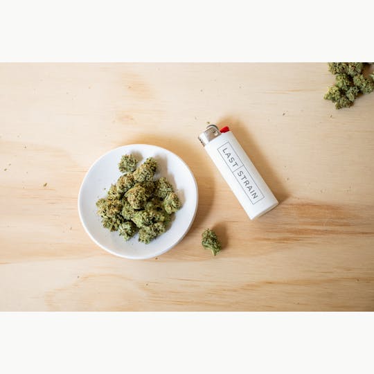 Last Strain - Do-Si-Dos - 1